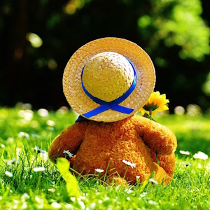 キャリア・デザイナーズ